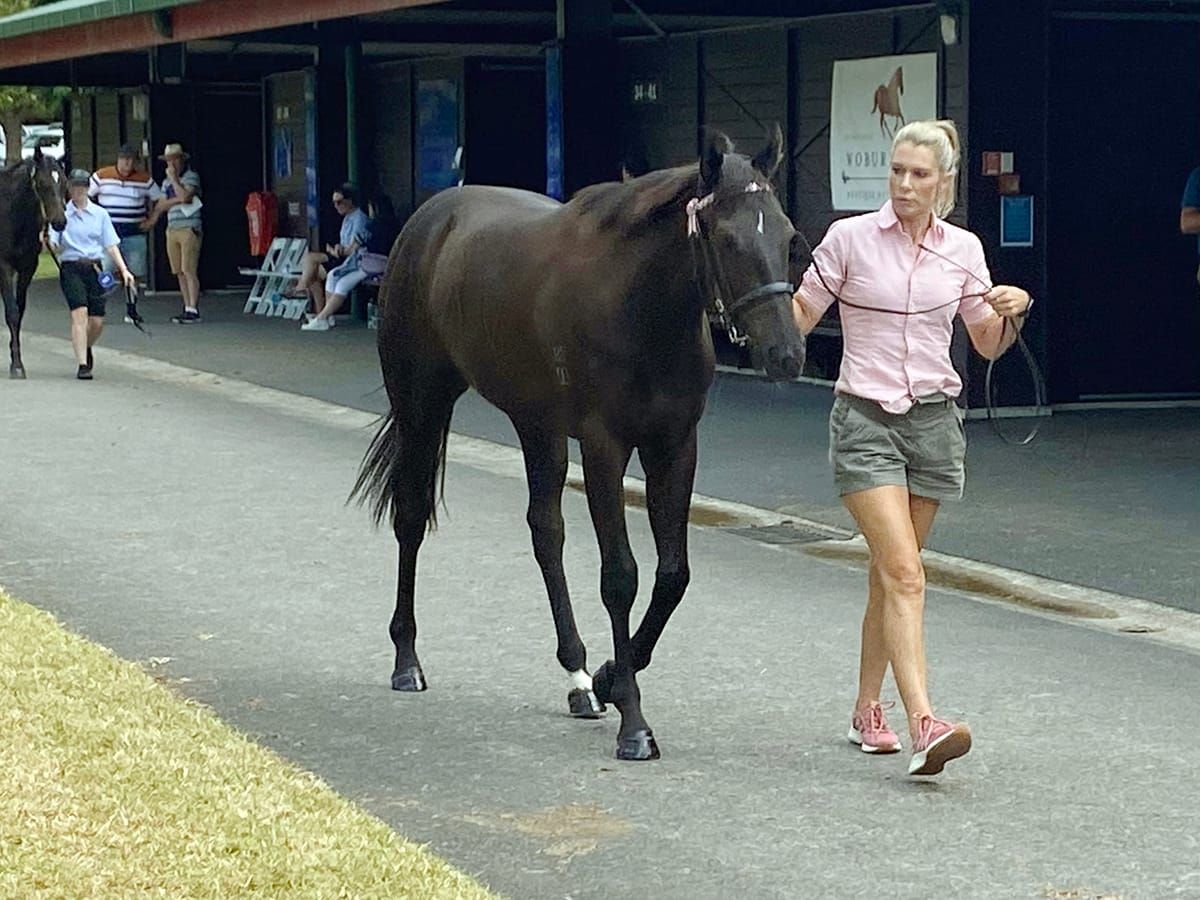 Peterken savours first Book 1 opportunity