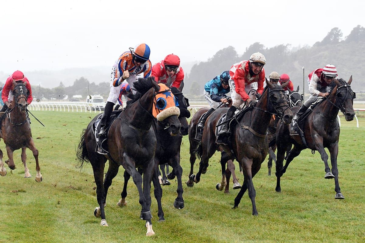 Leaderboard upsets in Wellington Cup