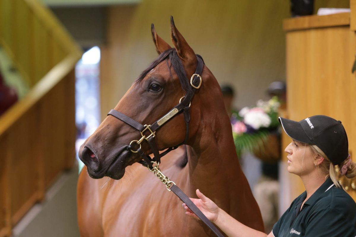 <strong>Ellis on top of the world at Karaka</strong>