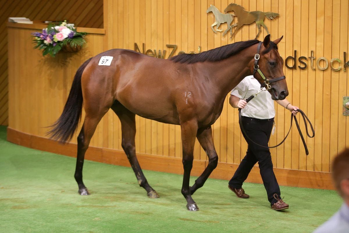 Dream start for Elsdon Park