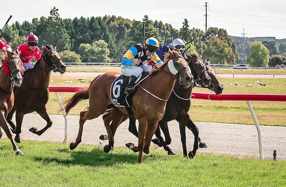 Goldie takes her chance in Gore Guineas