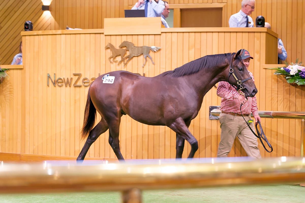 Internationals Savour Quality Bloodlines on Day Two