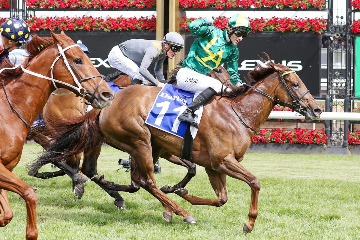 Roch ‘N’ Horse on track for feature sprints