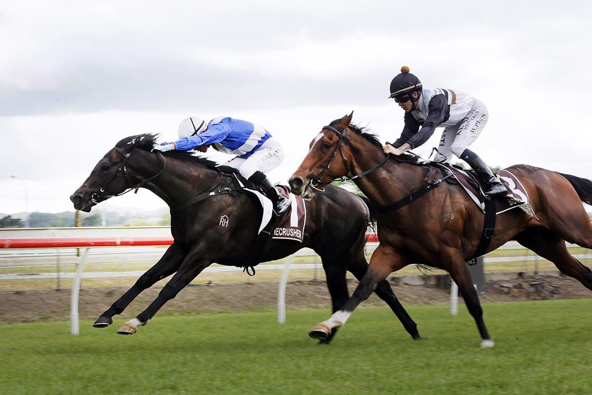 Scared Satono primed for Karaka Million
