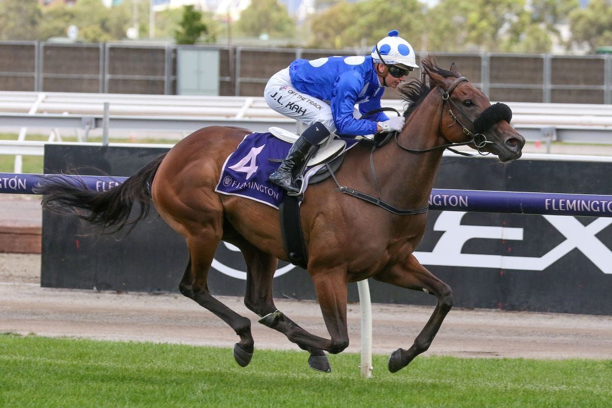 Abscess a blessing for Arataki