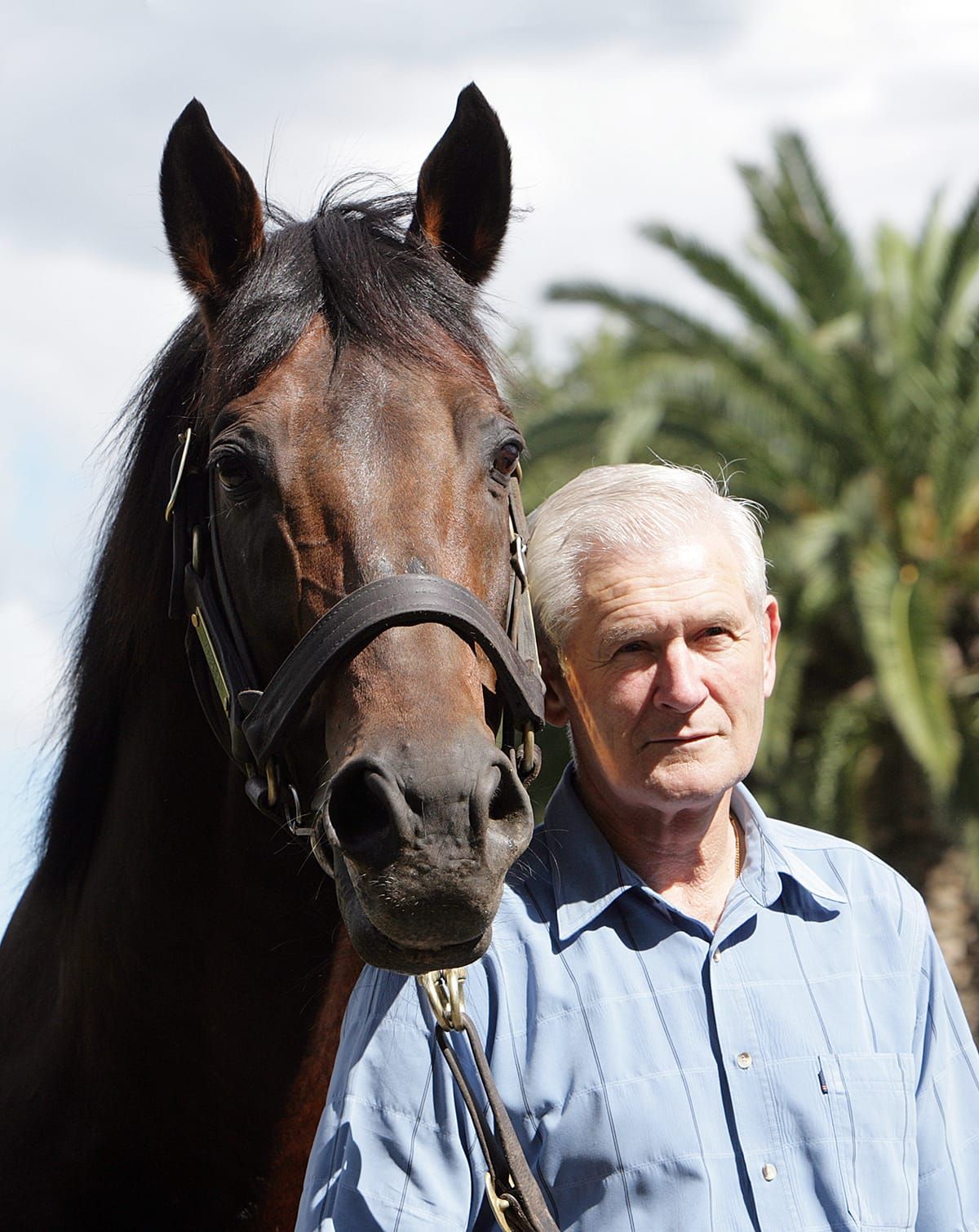 Livestream: Sir Patrick Hogan’s Funeral