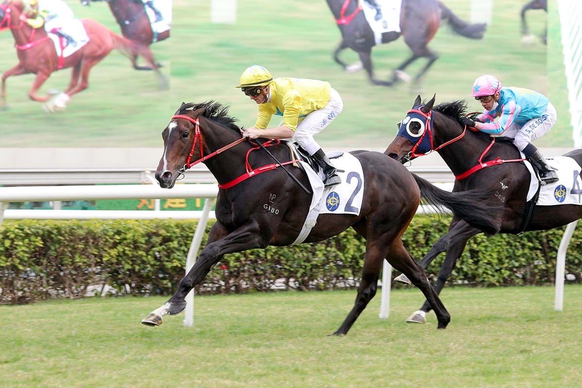 Manfred Man chases G1 Centenary Sprint Cup glory with Lucky Sweynesse