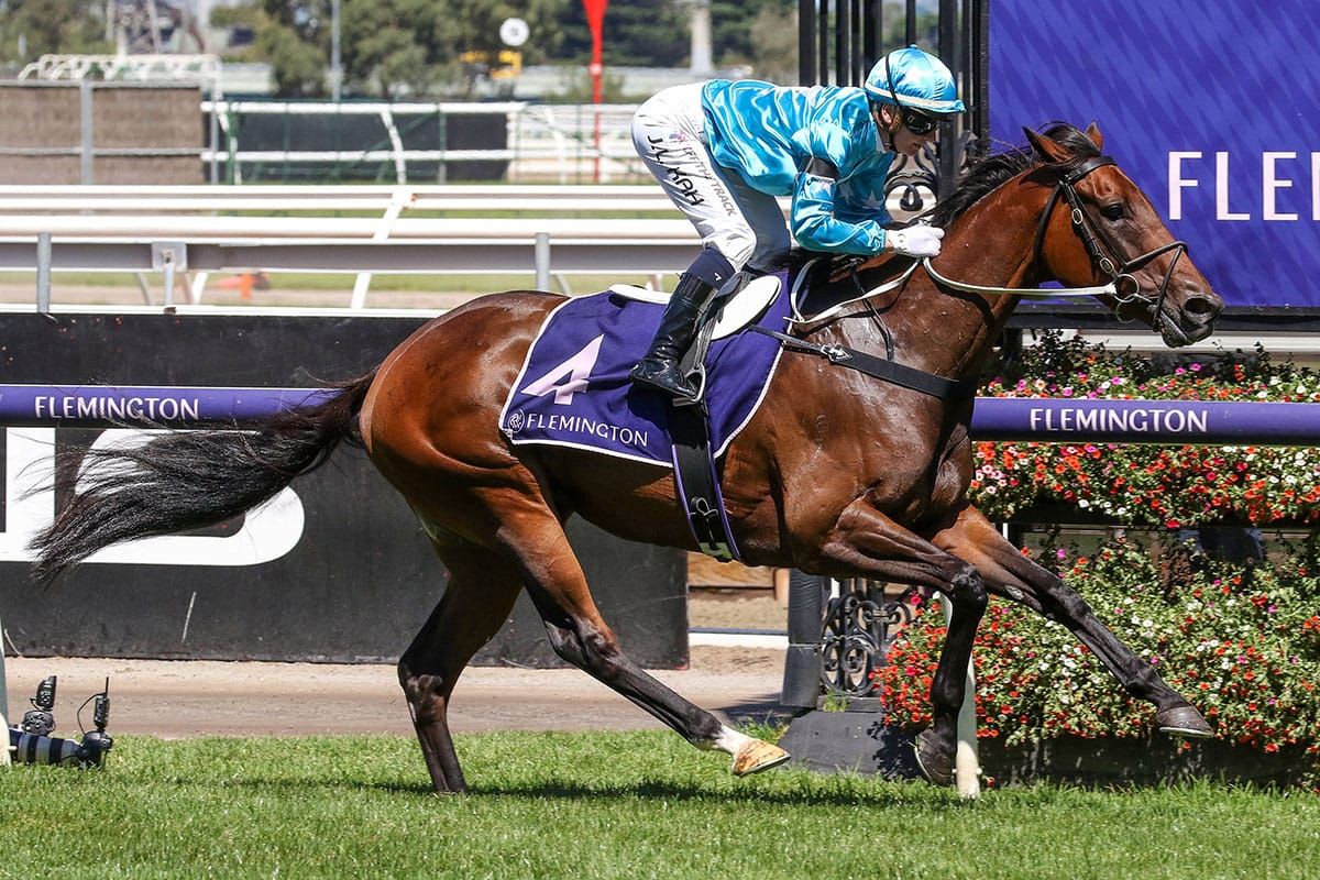 Group One in sight for Annavisto