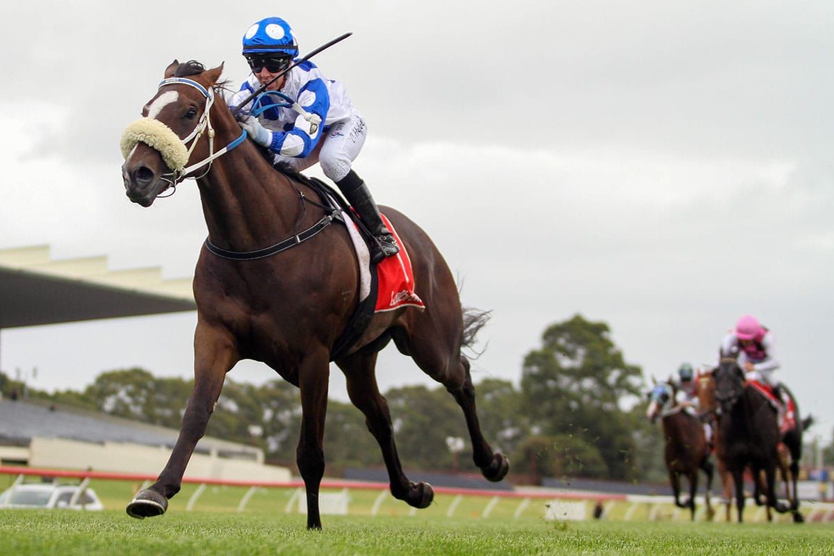 Dalziel run continues hot-streak with Hennessy Lad