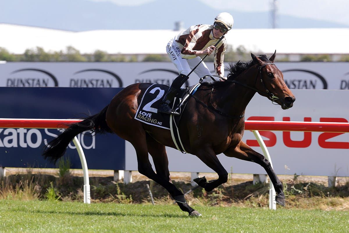 Legarto on song for Australian Guineas