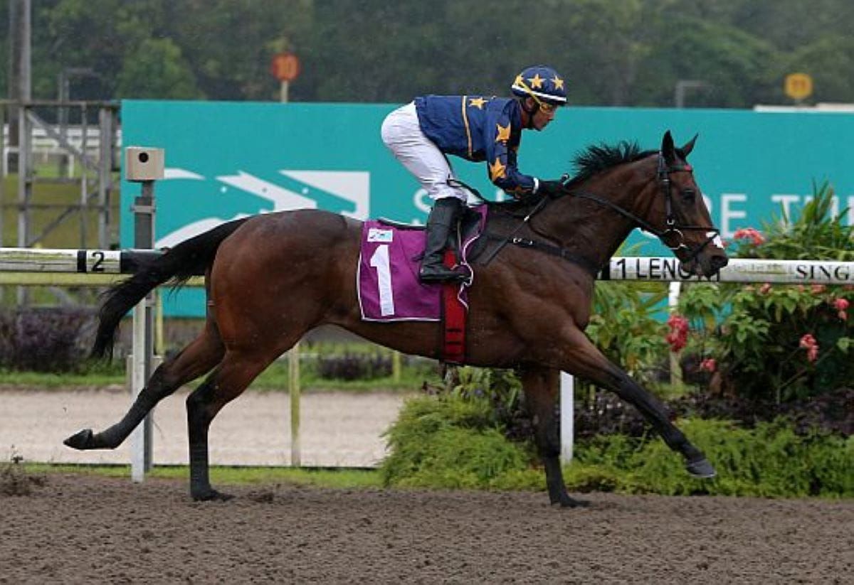 Kosciuszko climbs polytrack mountain