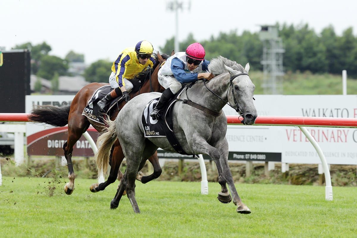 Double Te Rapa delight for Foote