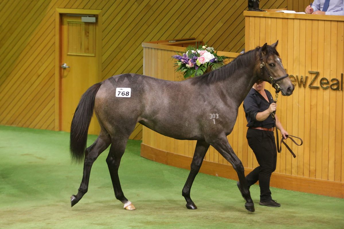 Karaka makes positive impression on Pearce