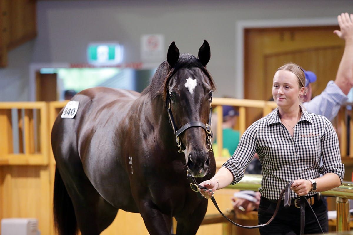 Young guns enjoy dream first pinhook