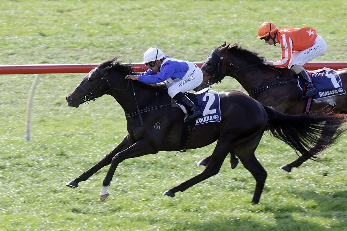 Top three-year-old planning Aussie raid