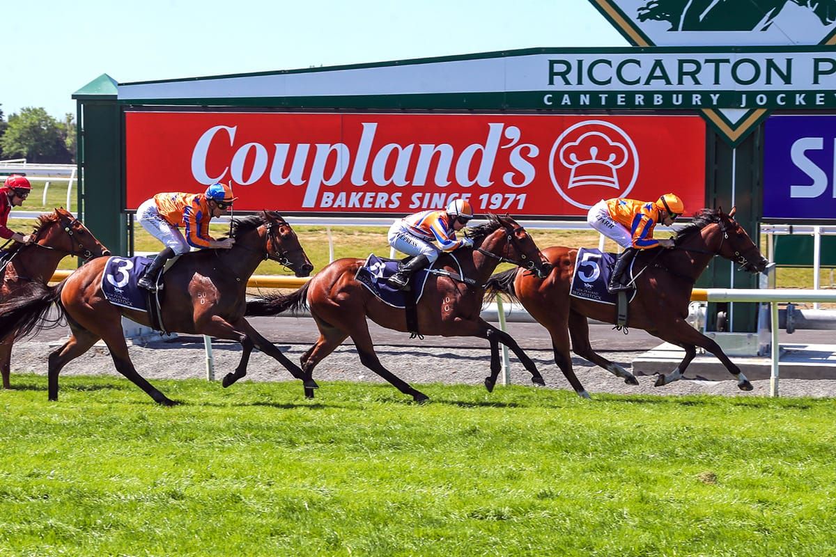 Walker two-year-olds take centre stage