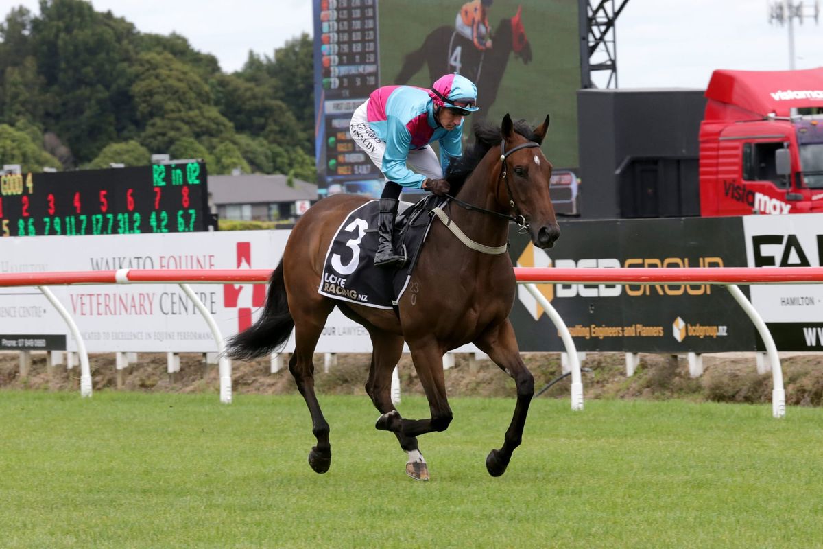 <strong>Richardson has eye on Sires’ Produce with To Catch A Thief</strong>