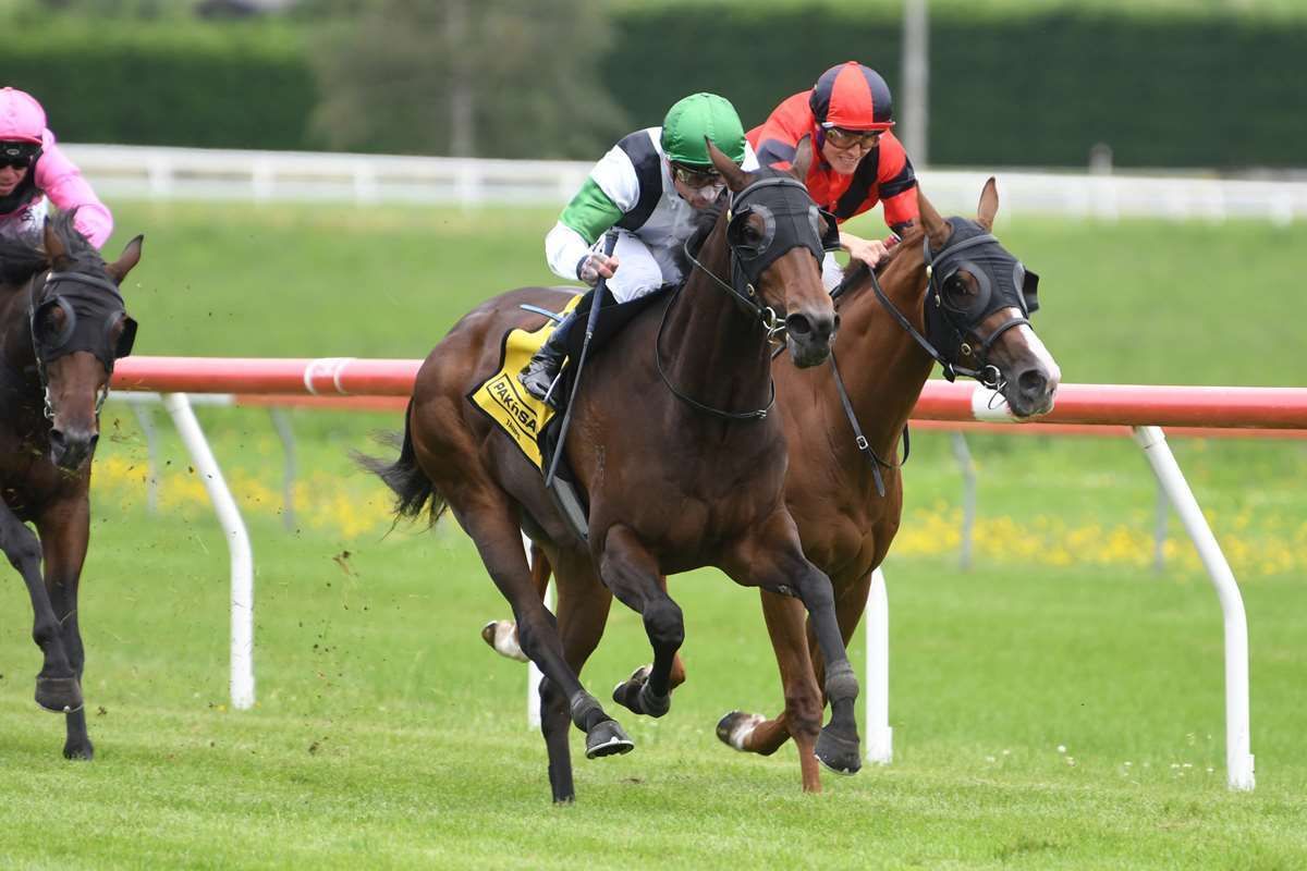 <strong>Val Di Zoldo poised to confirm Oaks claims</strong>