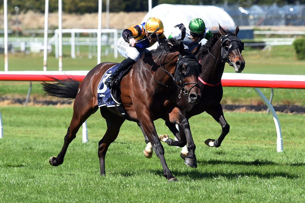 Familiar colours to the fore in St Leger