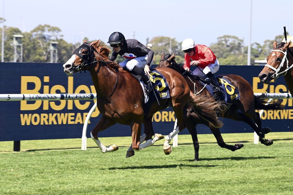 Gin Martini claims Group Three