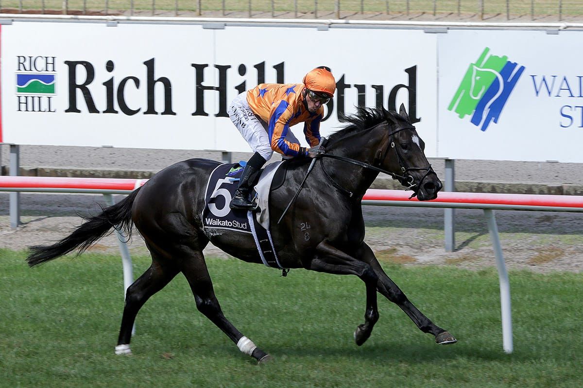 Imperatriz primed for Canterbury Stakes