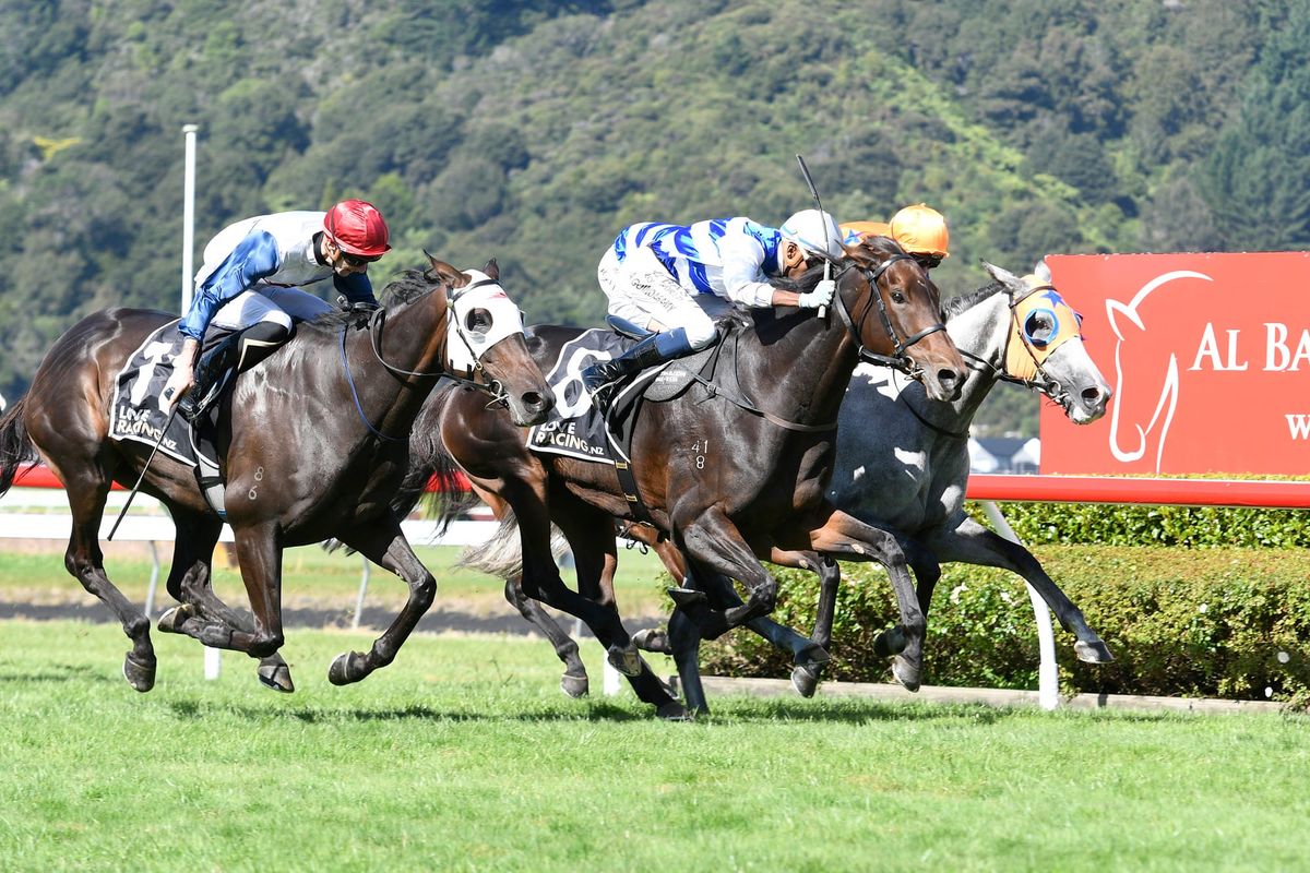 Unbeaten Pearl Of Alsace lands Cuddle Stakes