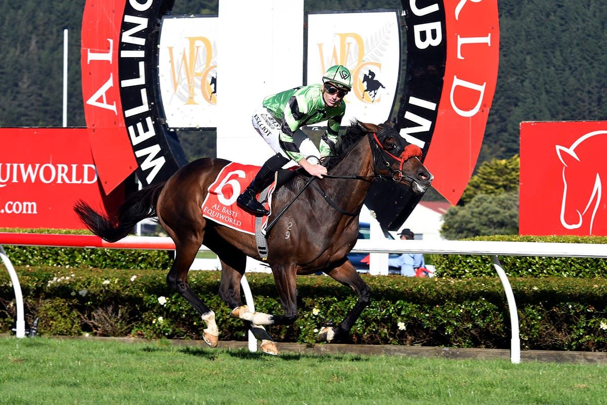 Satono Aladdin’s star continues to rise