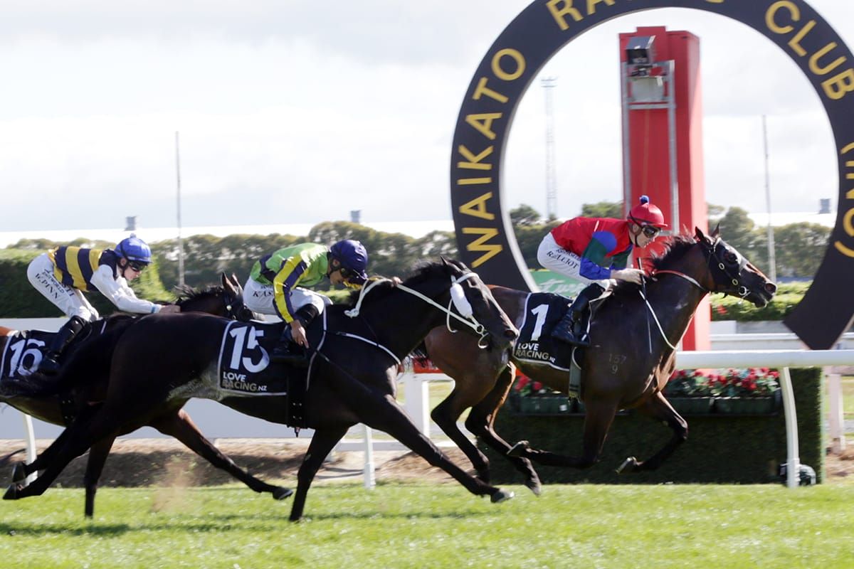 Favourite wins New Zealand Derby