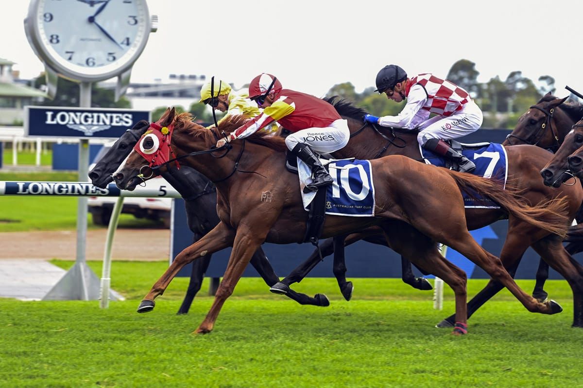 Tapildoodledo is cookadoodledo for Derby