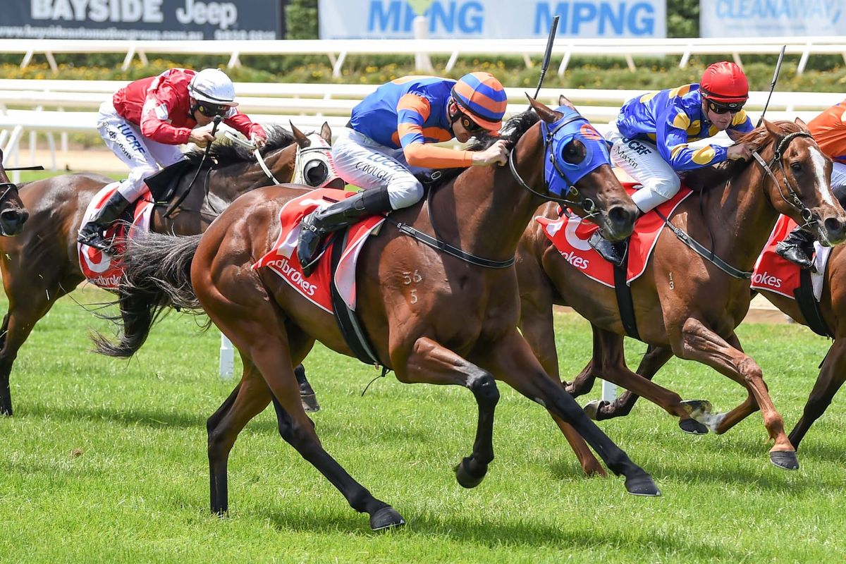 Zedstar gearing up for the ‘Bool