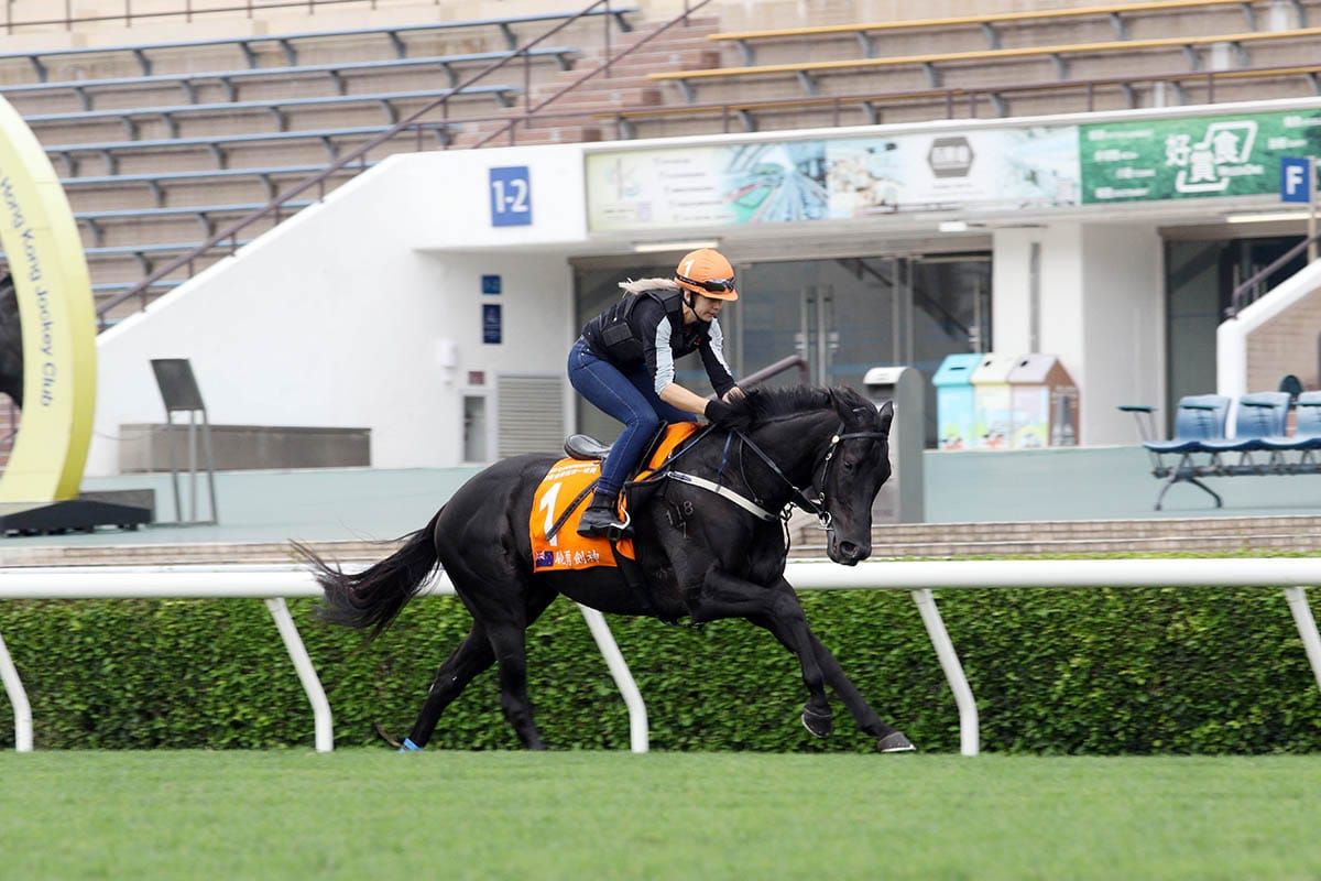 Blinkers an unknown for Aegon