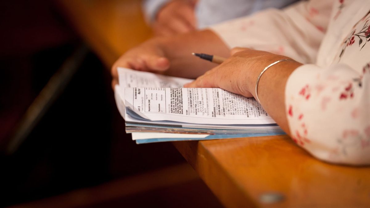 NZB online yearling sale now live