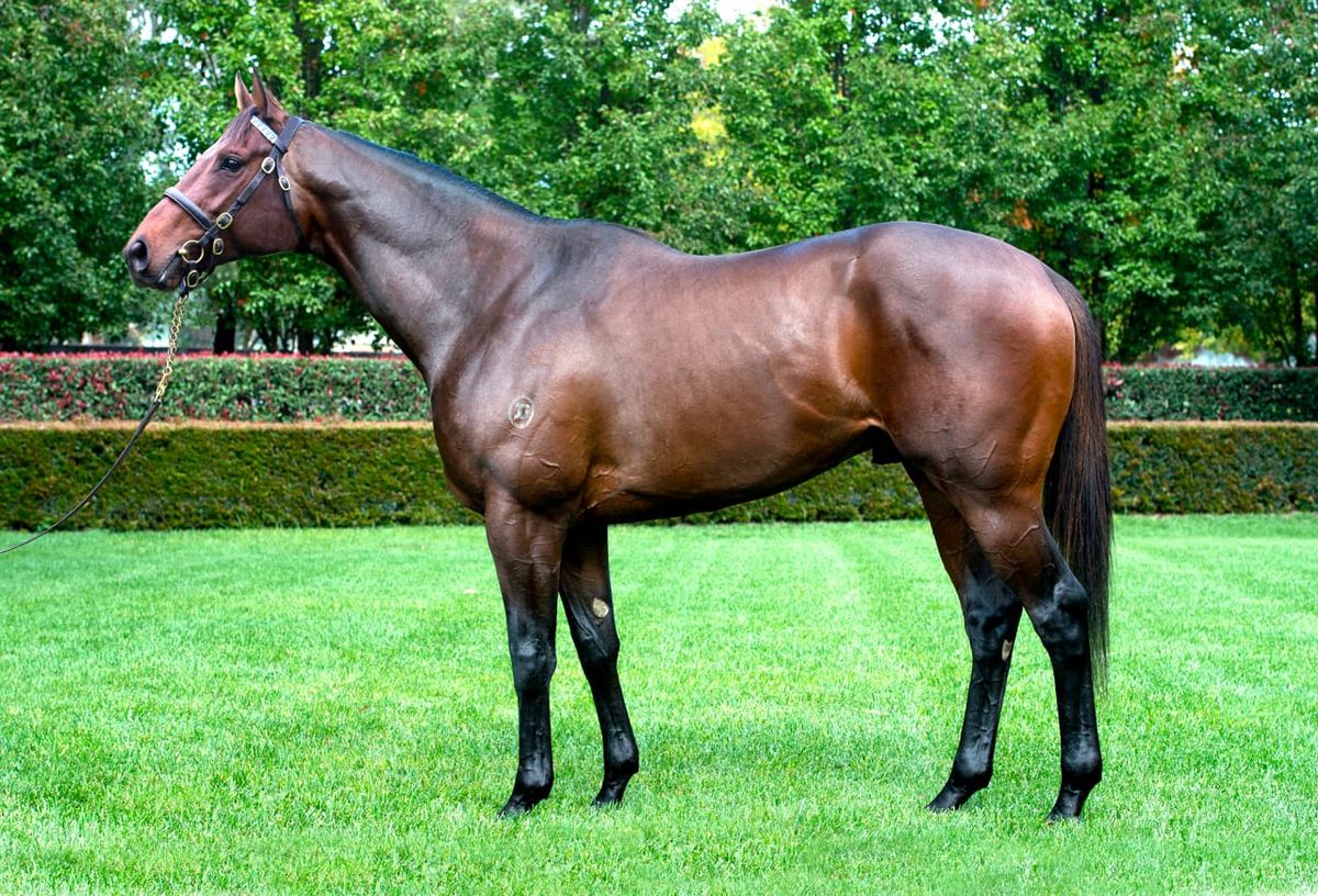 White Robe’s Ghibellines heads unchanged fee roster