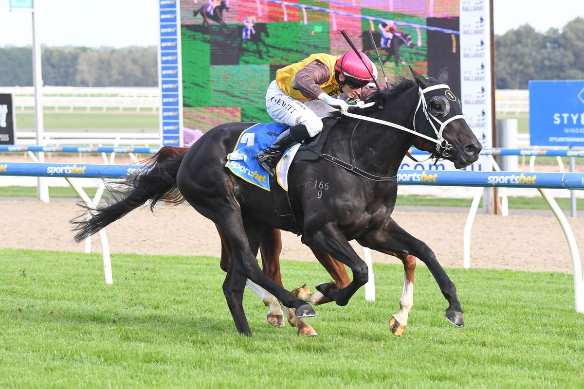 Savvy choice to step up in trip