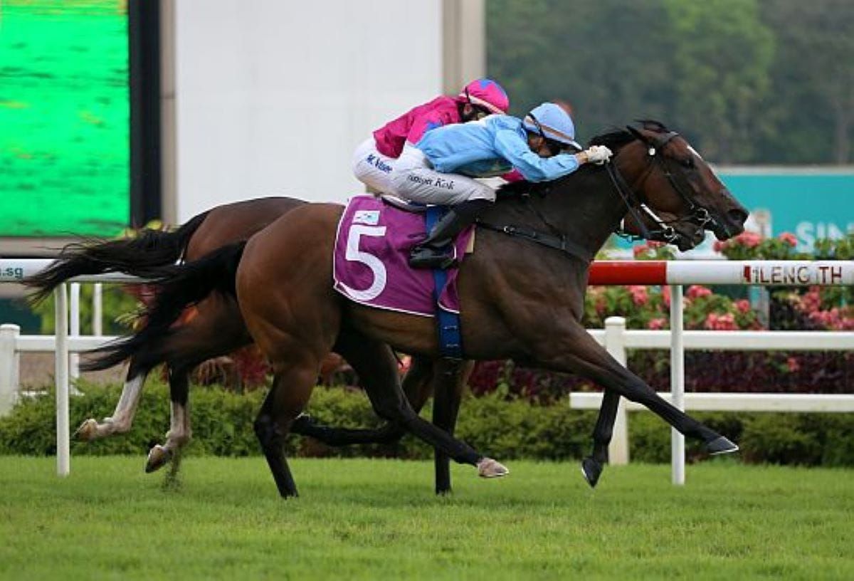 Kiwi success in Singapore Sprint