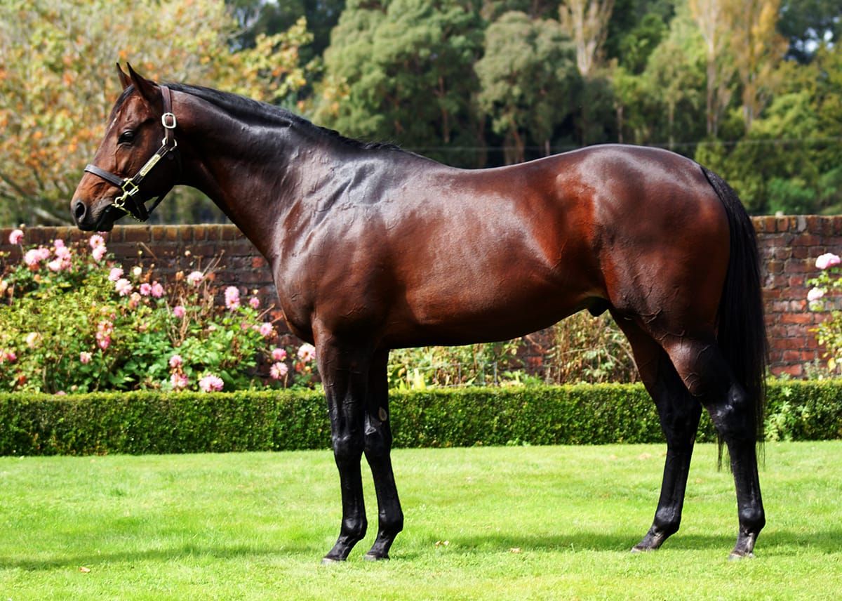 LA 2023 Service Fees Confirmed