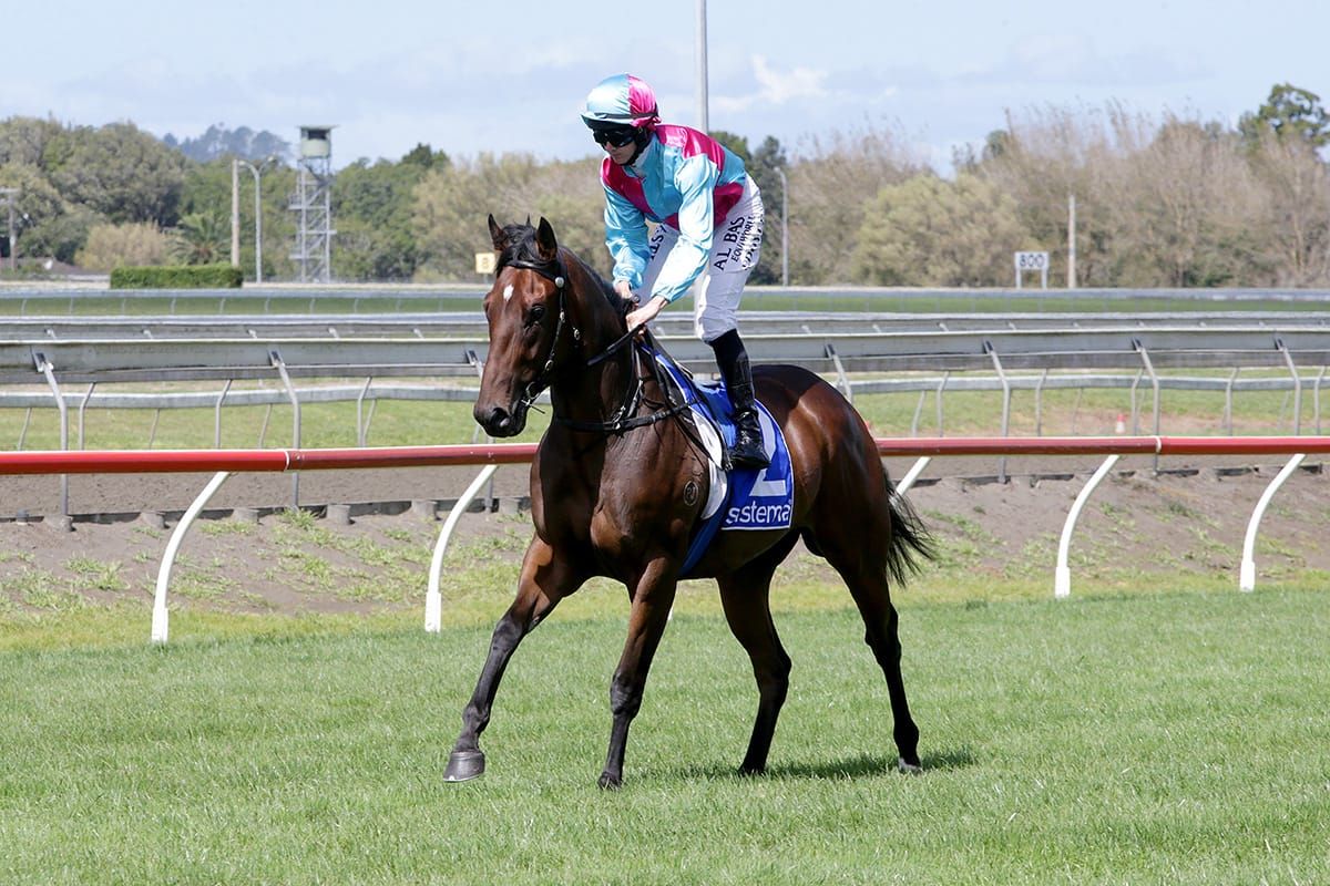Hopes of catching a winning break in Champagne