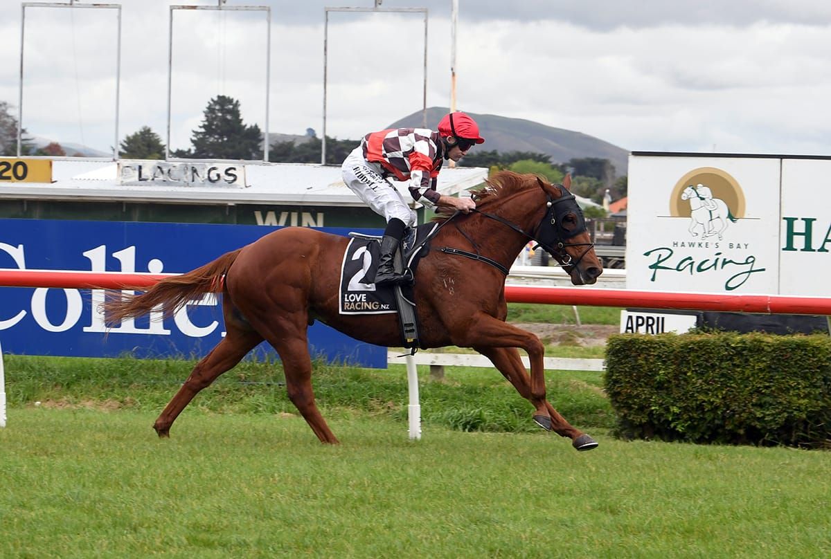 Wewillrock back to winning form