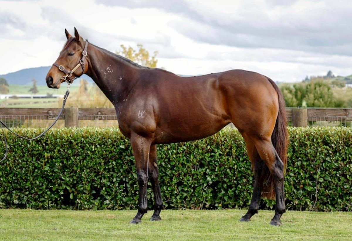 Yulong secures Belle En Rouge for $800,000