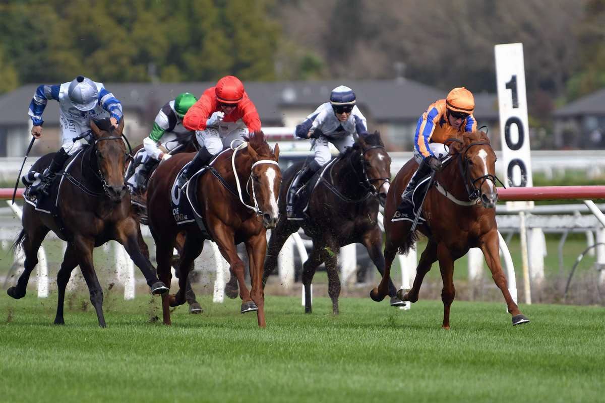 Marsh following tried and true formula with 2YOs