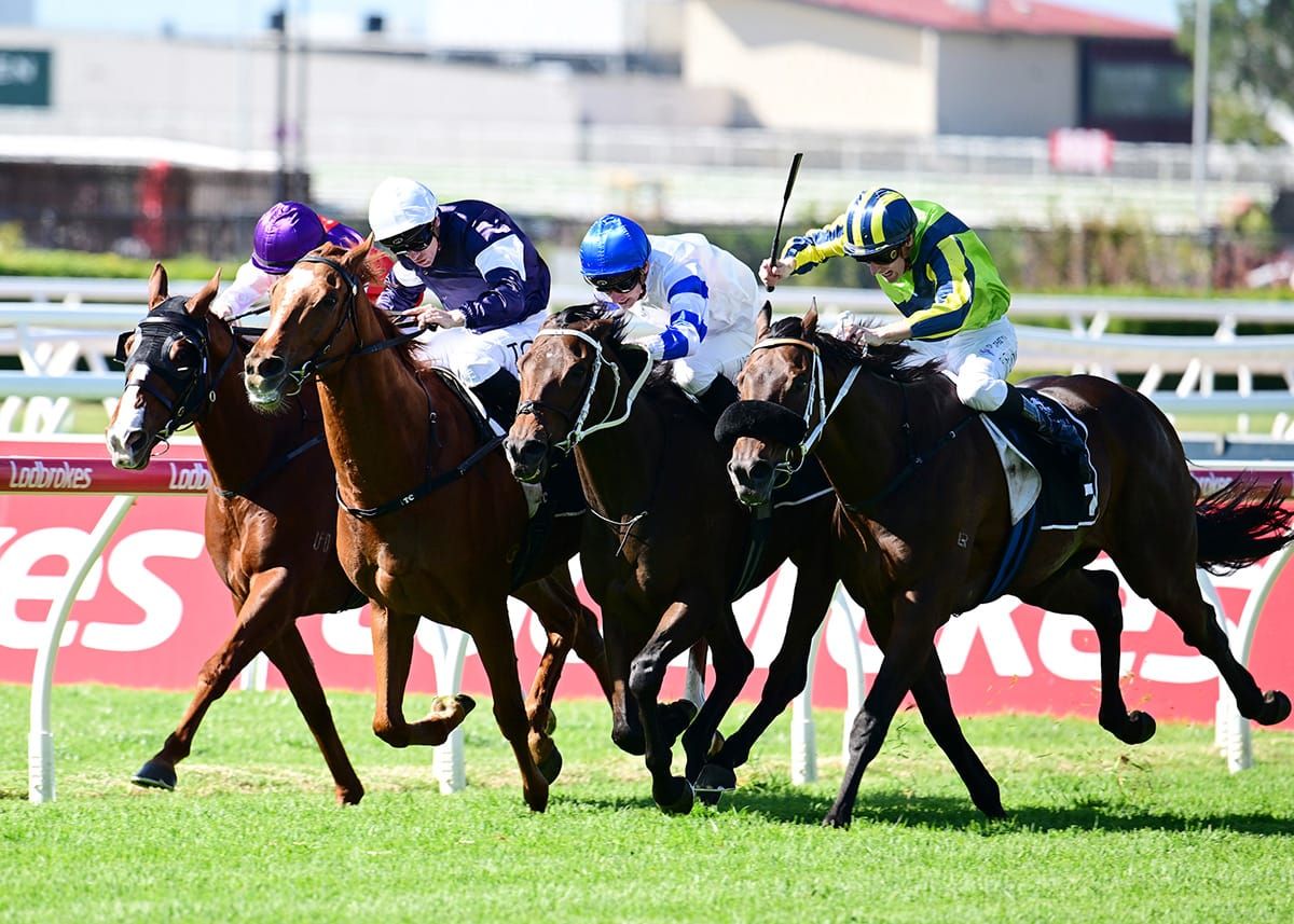 More Queensland success for Kukeracha