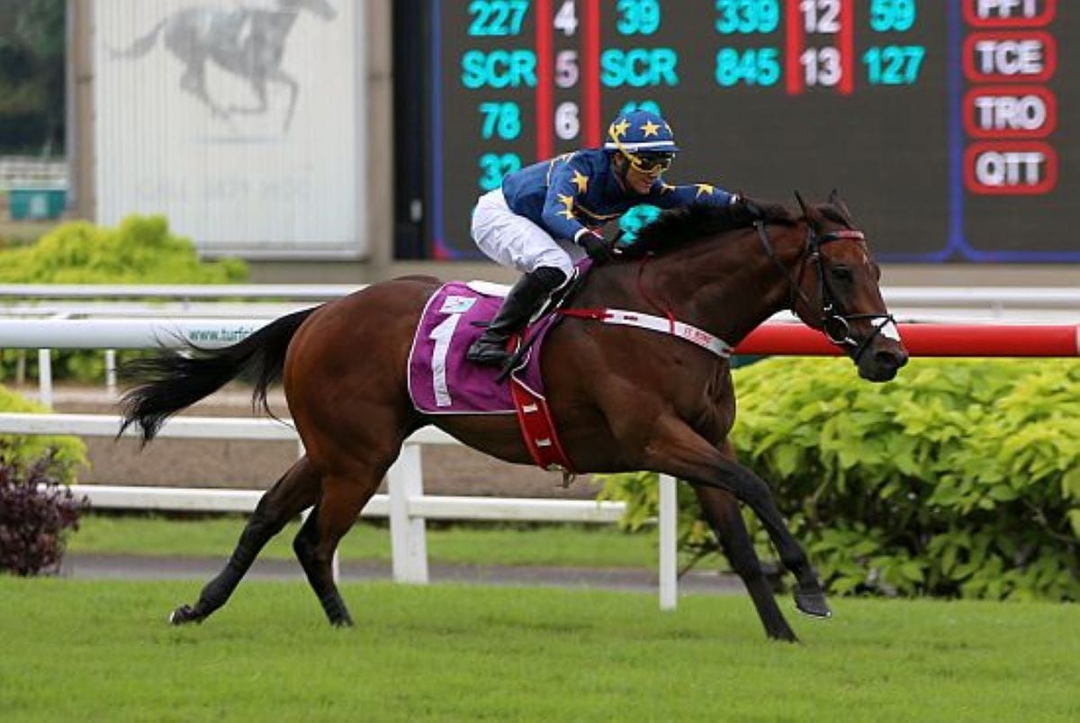 Lim’s Kosciuszko dominant in Kranji Mile