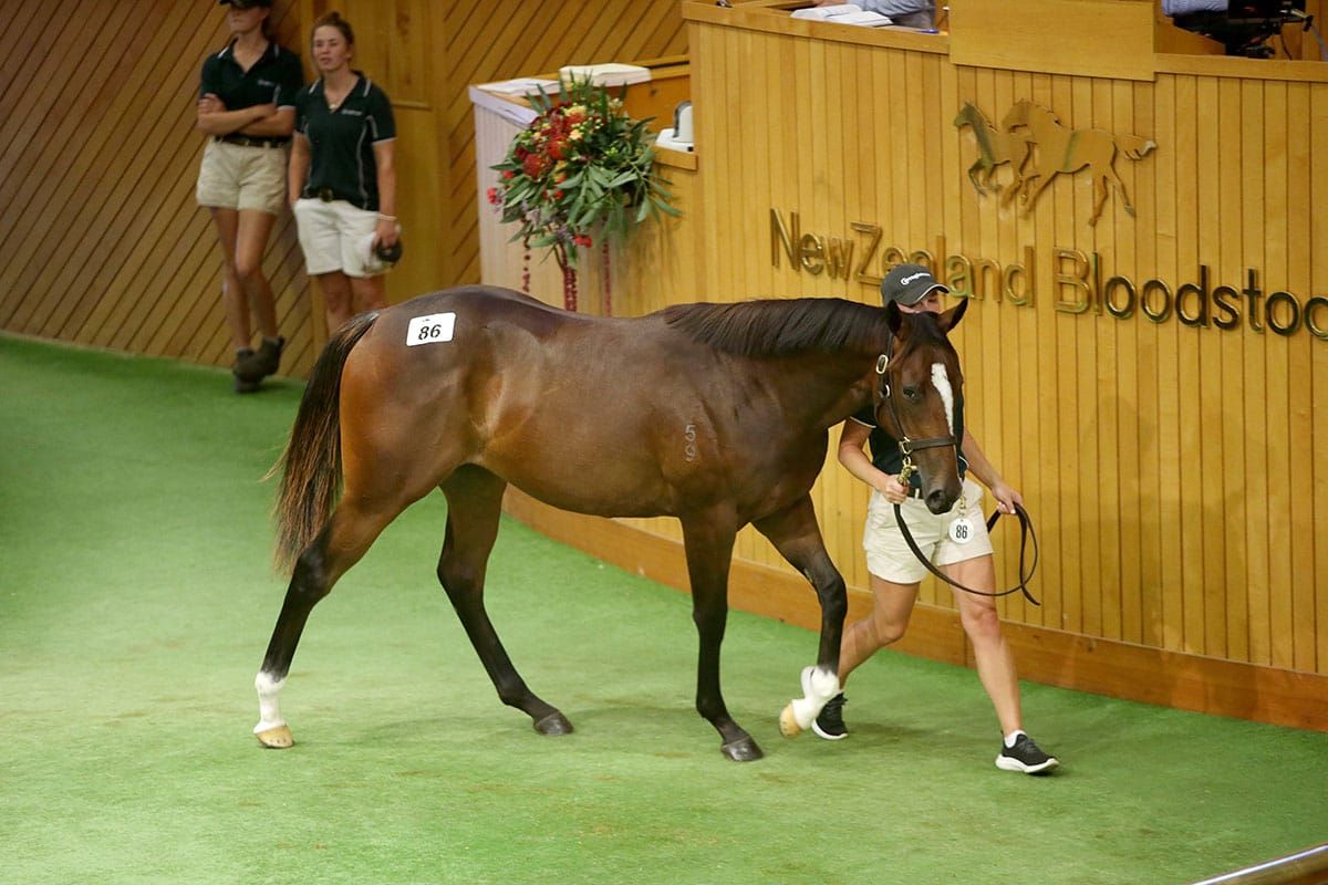 Curraghmore and Sir Owen Glenn team up for second Group One