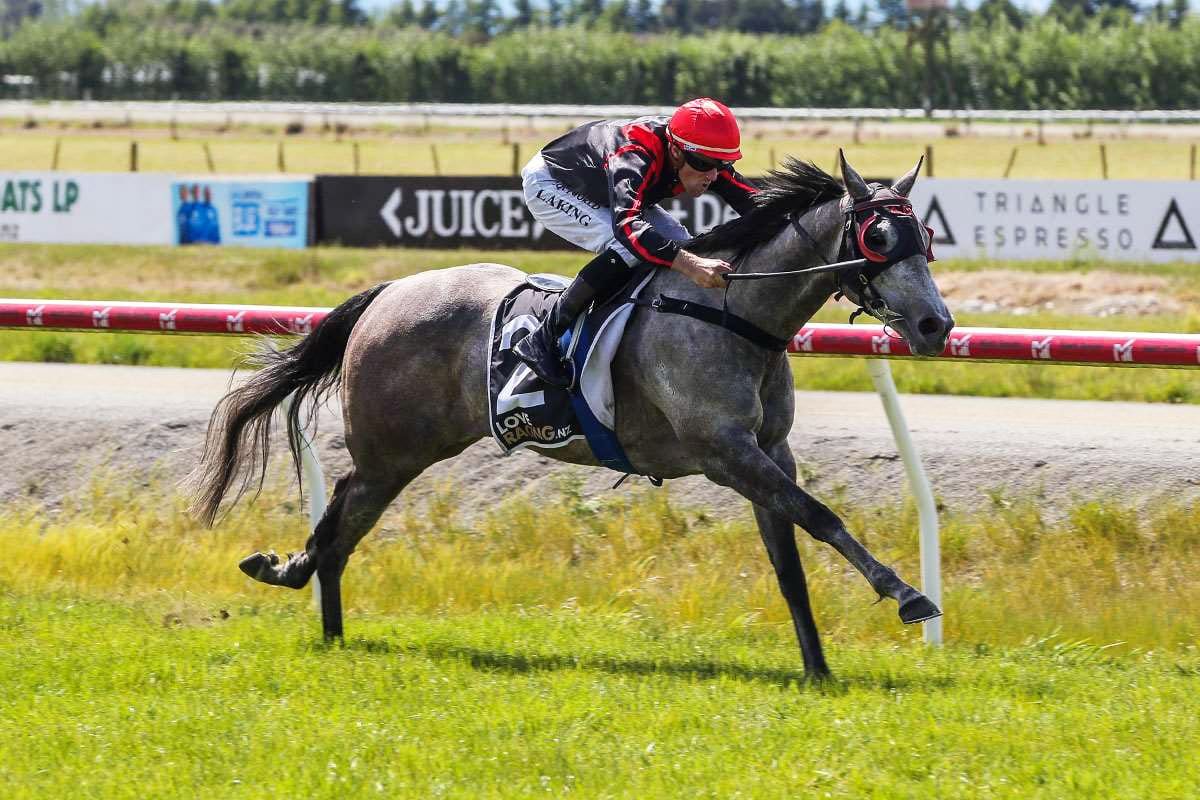 Russian Fable gets stable nod at Wingatui