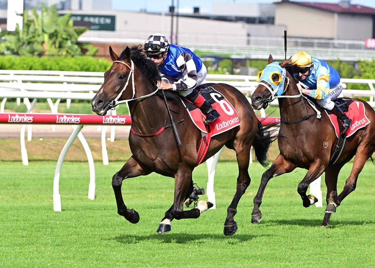Ucalledit stays home for Sunshine Coast trip