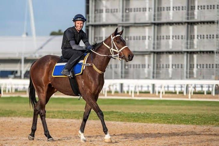 Kiwi jockey set to return to the saddle after 20 years