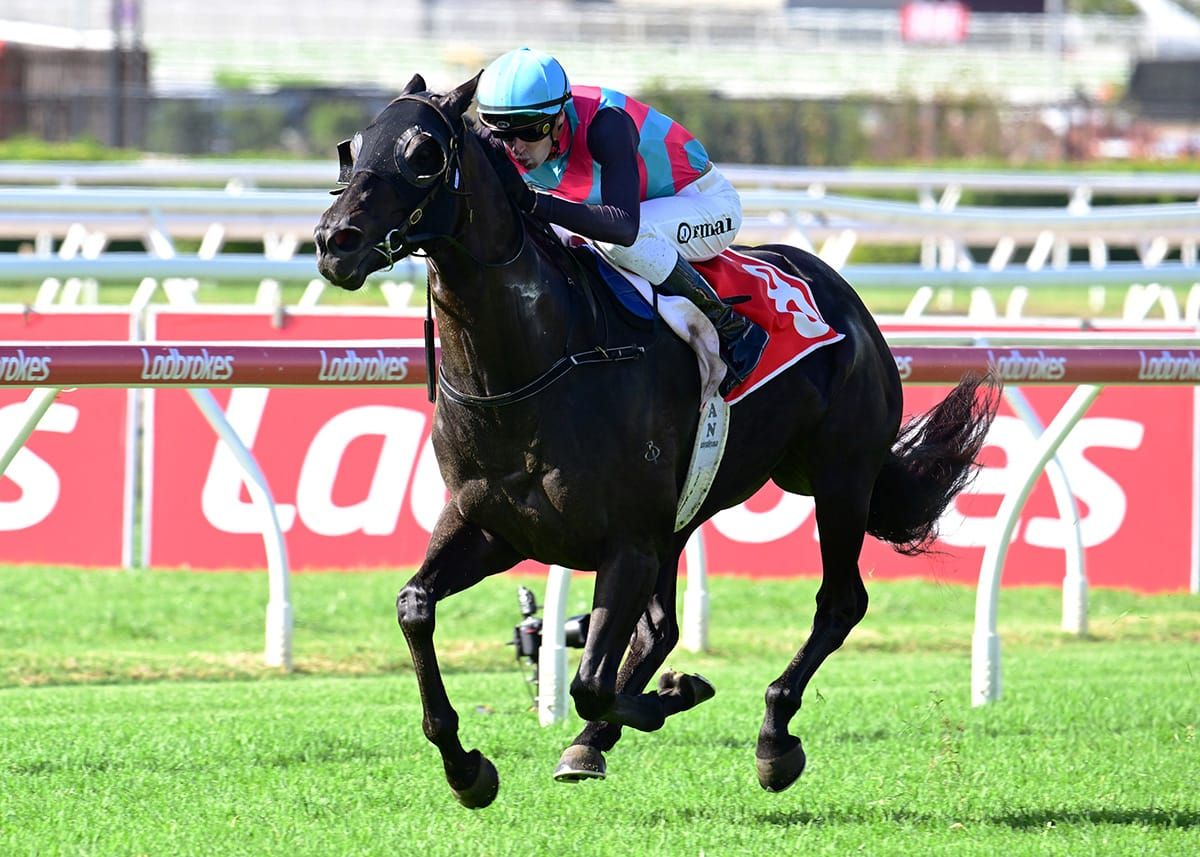 Antino a class above in Wayne Wilson