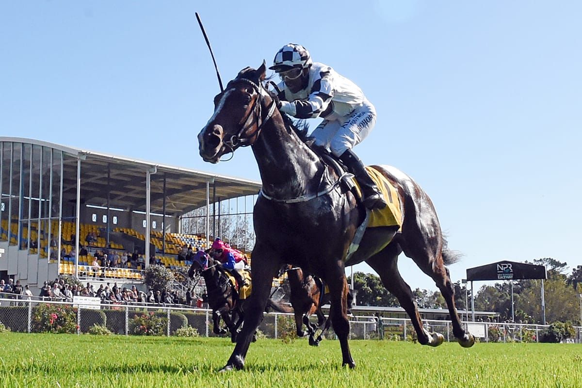 Hayes keen for Carbonados to make the cut