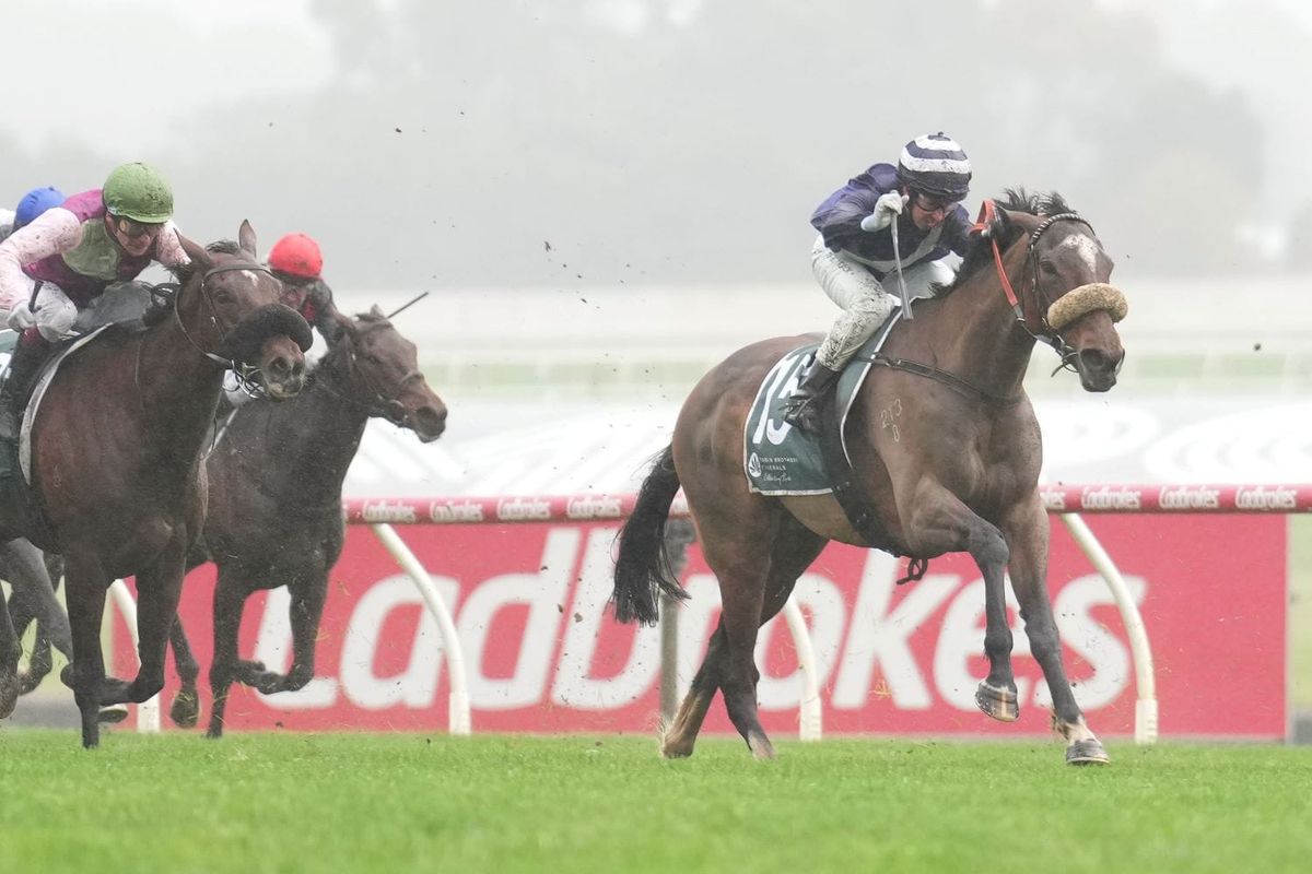 Future bright for Crimson Light