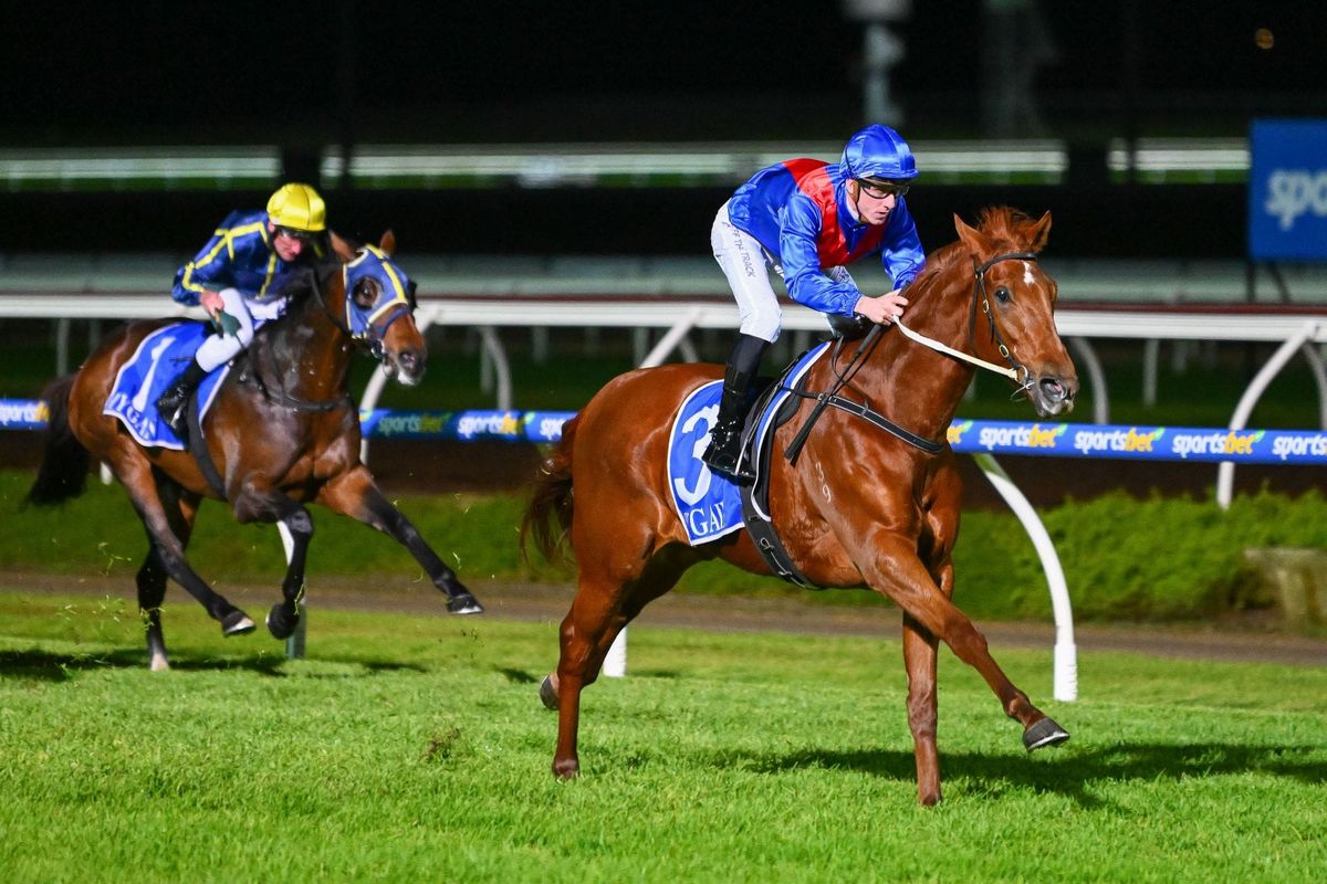 Impressive maiden winner heads to Sandown